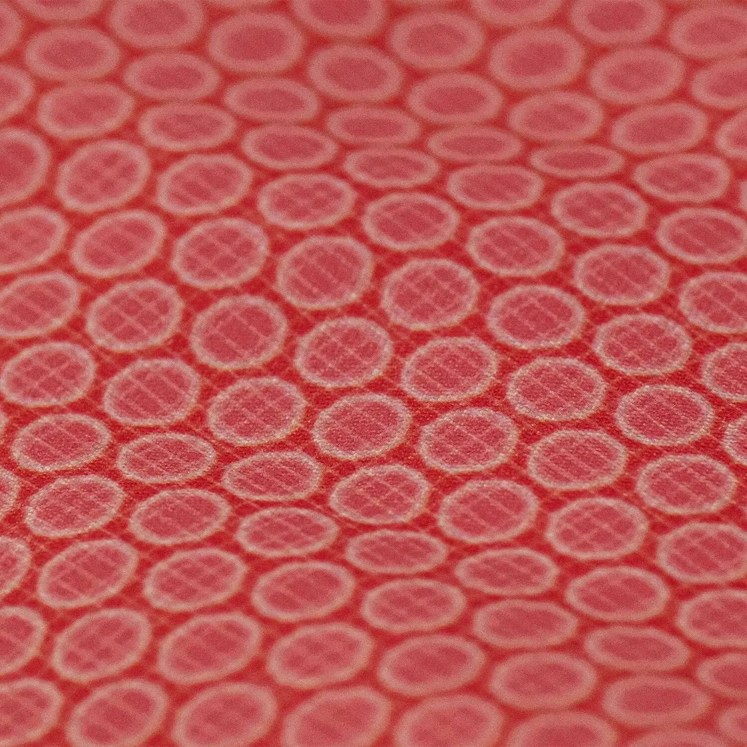 CIRCLES CORAL