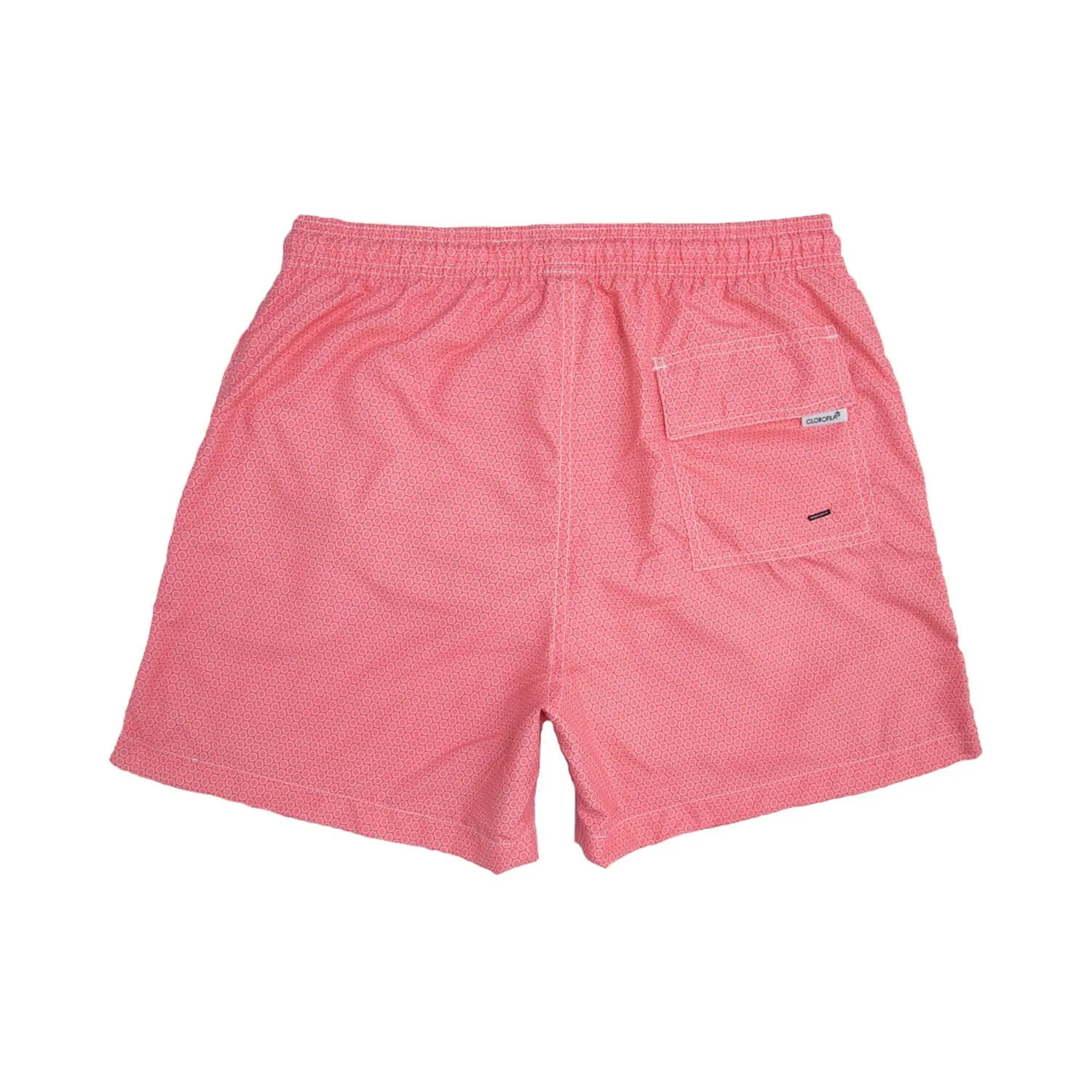 CIRCLES CORAL