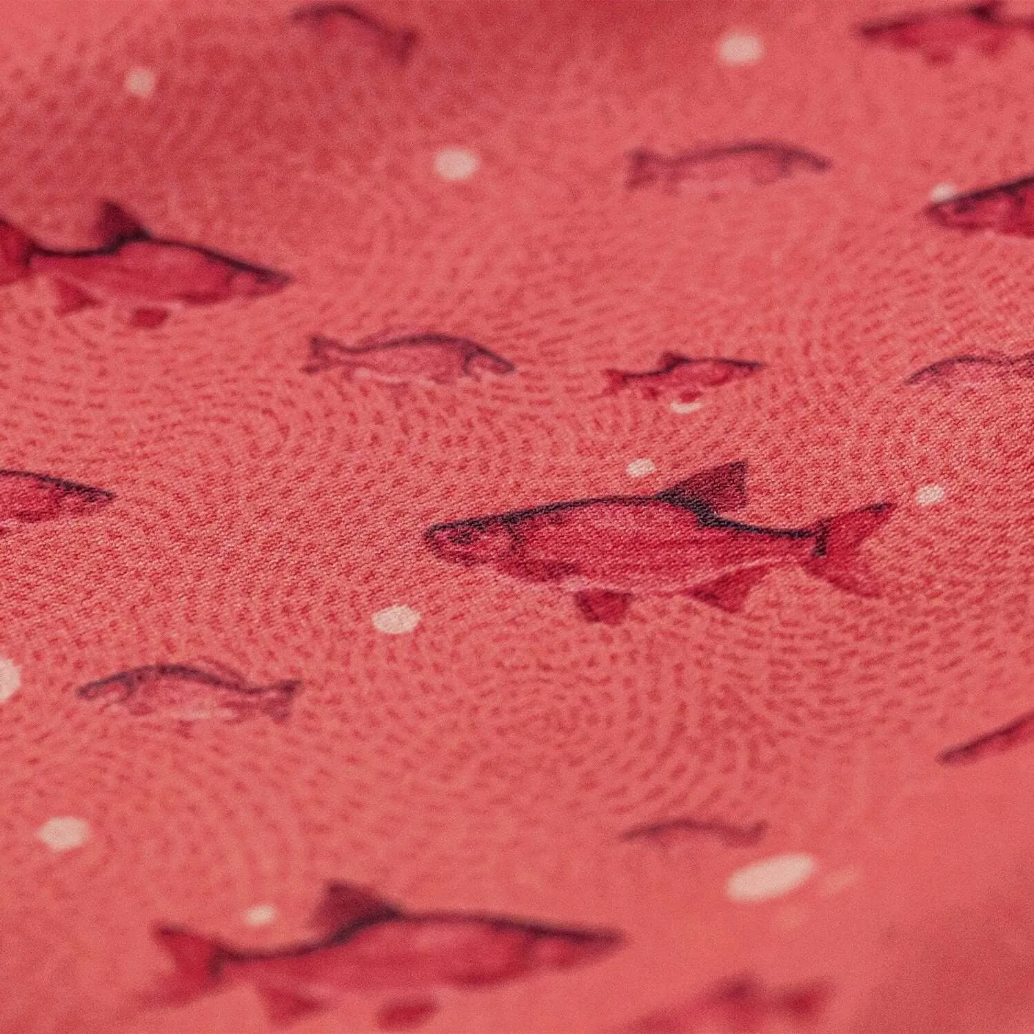 FISH BUBBLES CORAL
