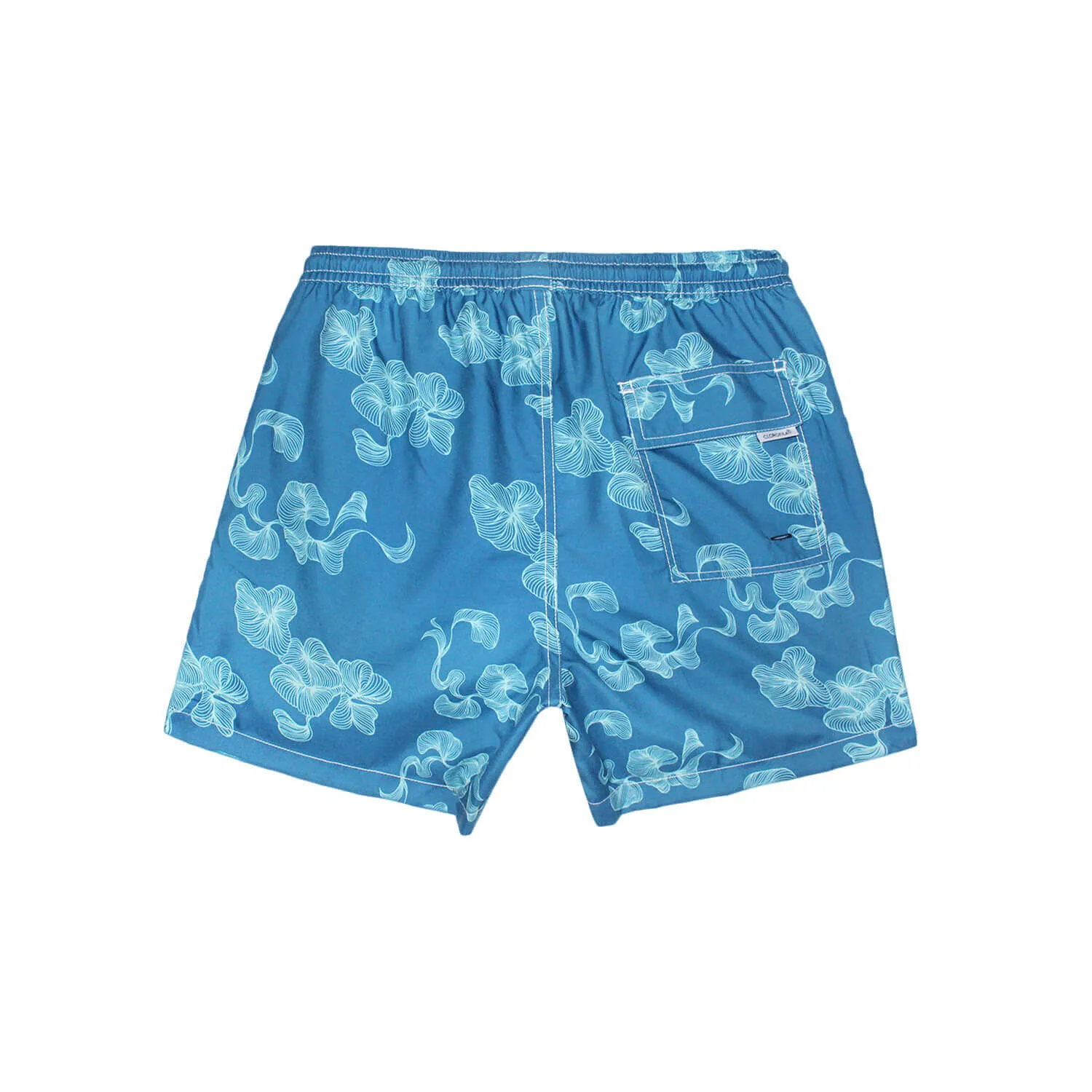 FLAMBOYAN BLUE