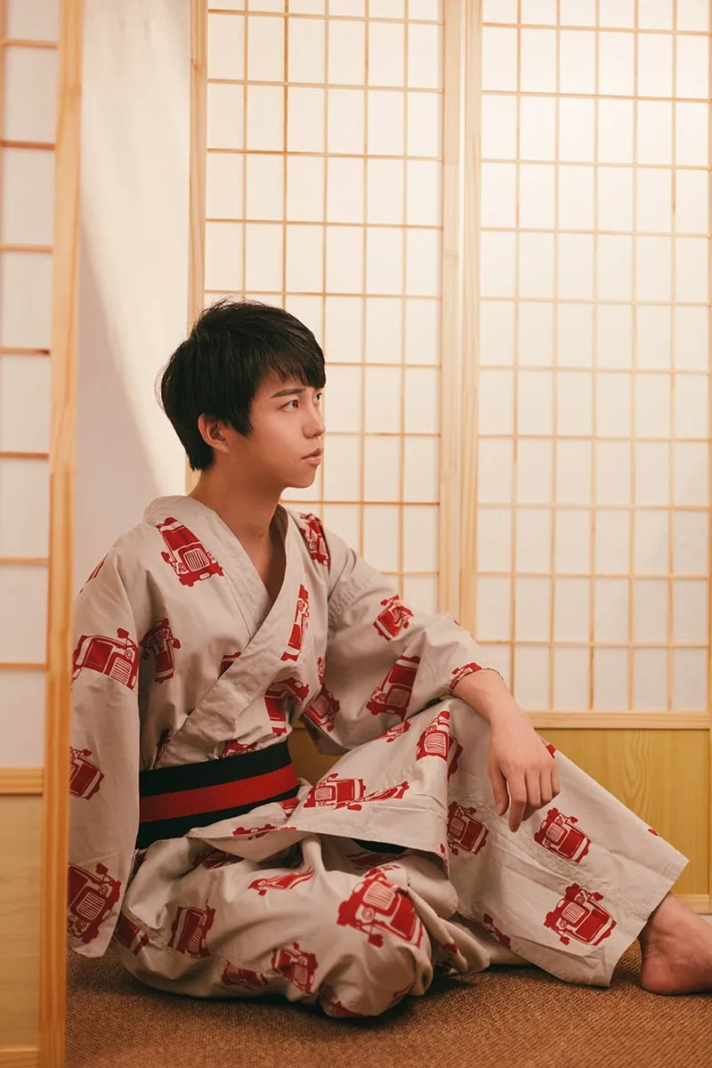 Modern Kimono Dress