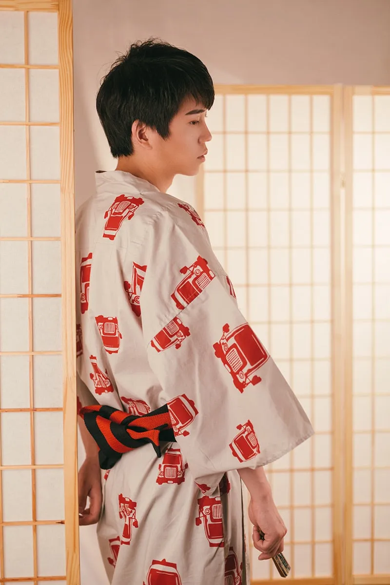 Modern Kimono Dress