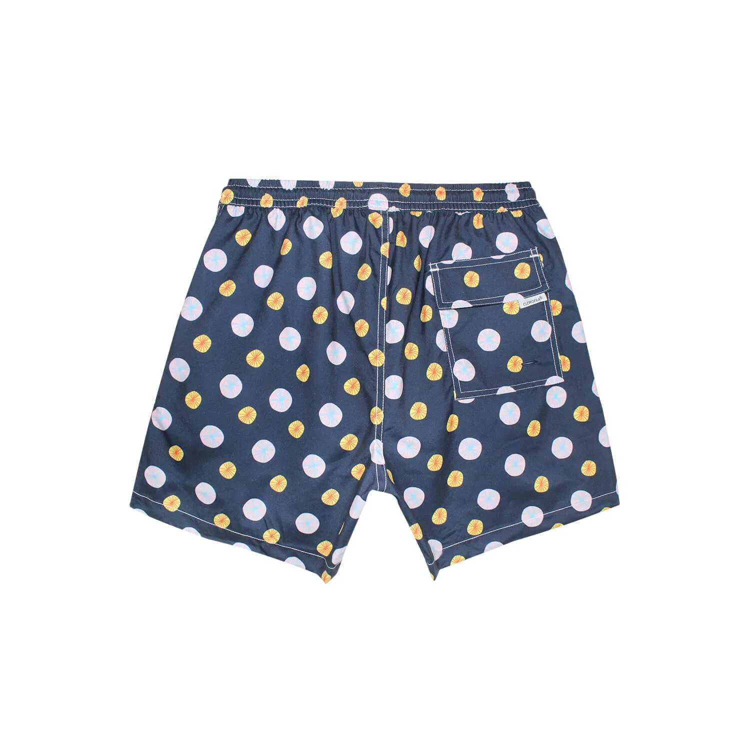 SAND DOLLARS BLUE