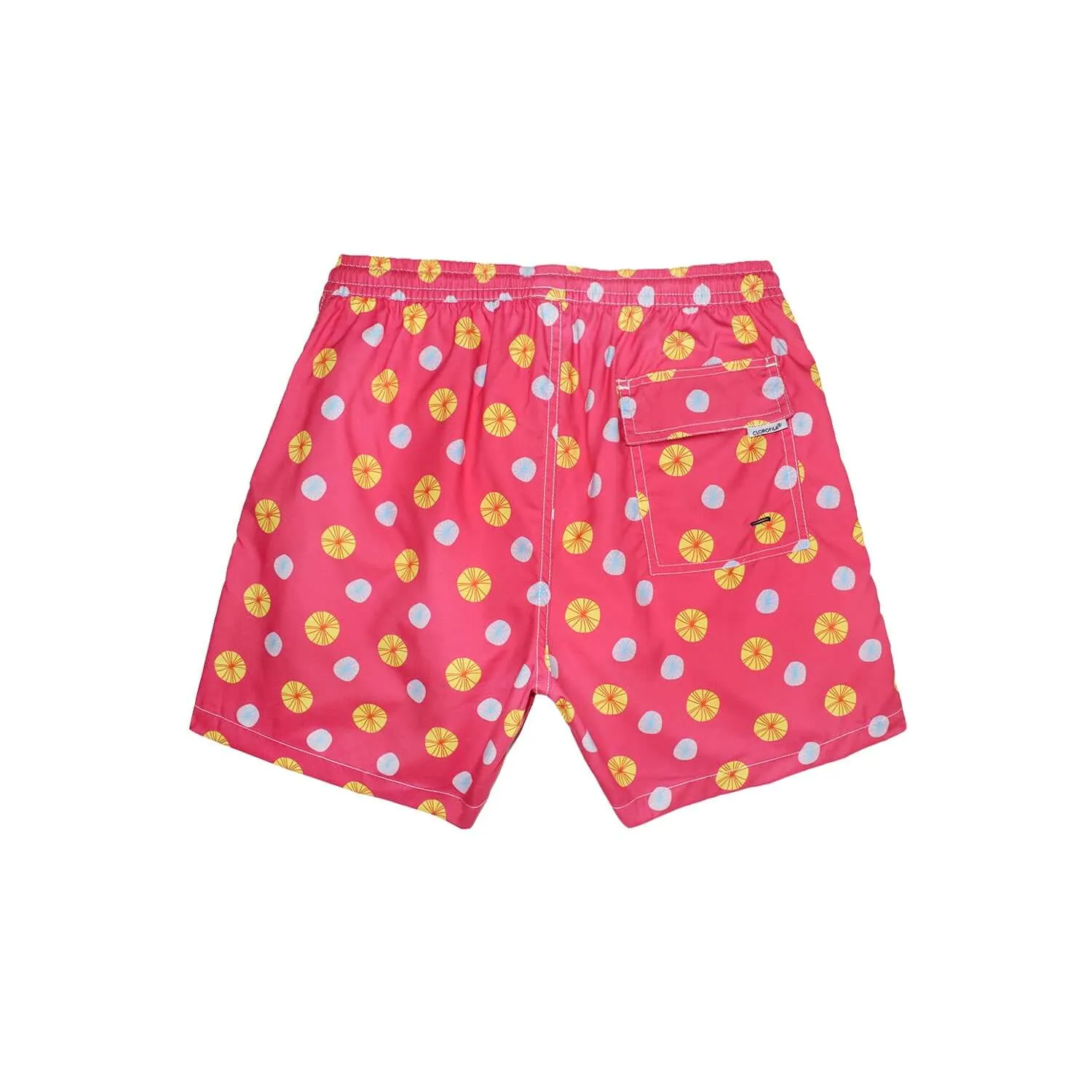 SAND DOLLARS PINK