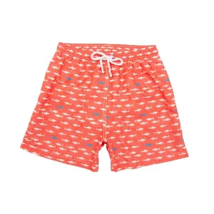 SHARKS CORAL