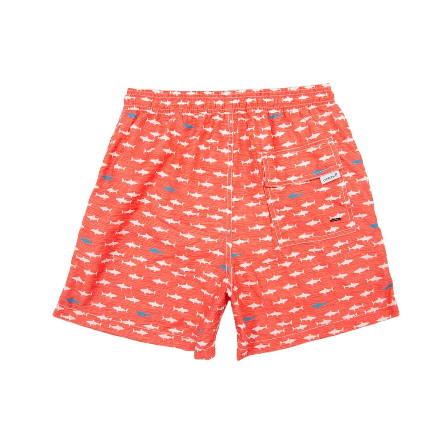 SHARKS CORAL