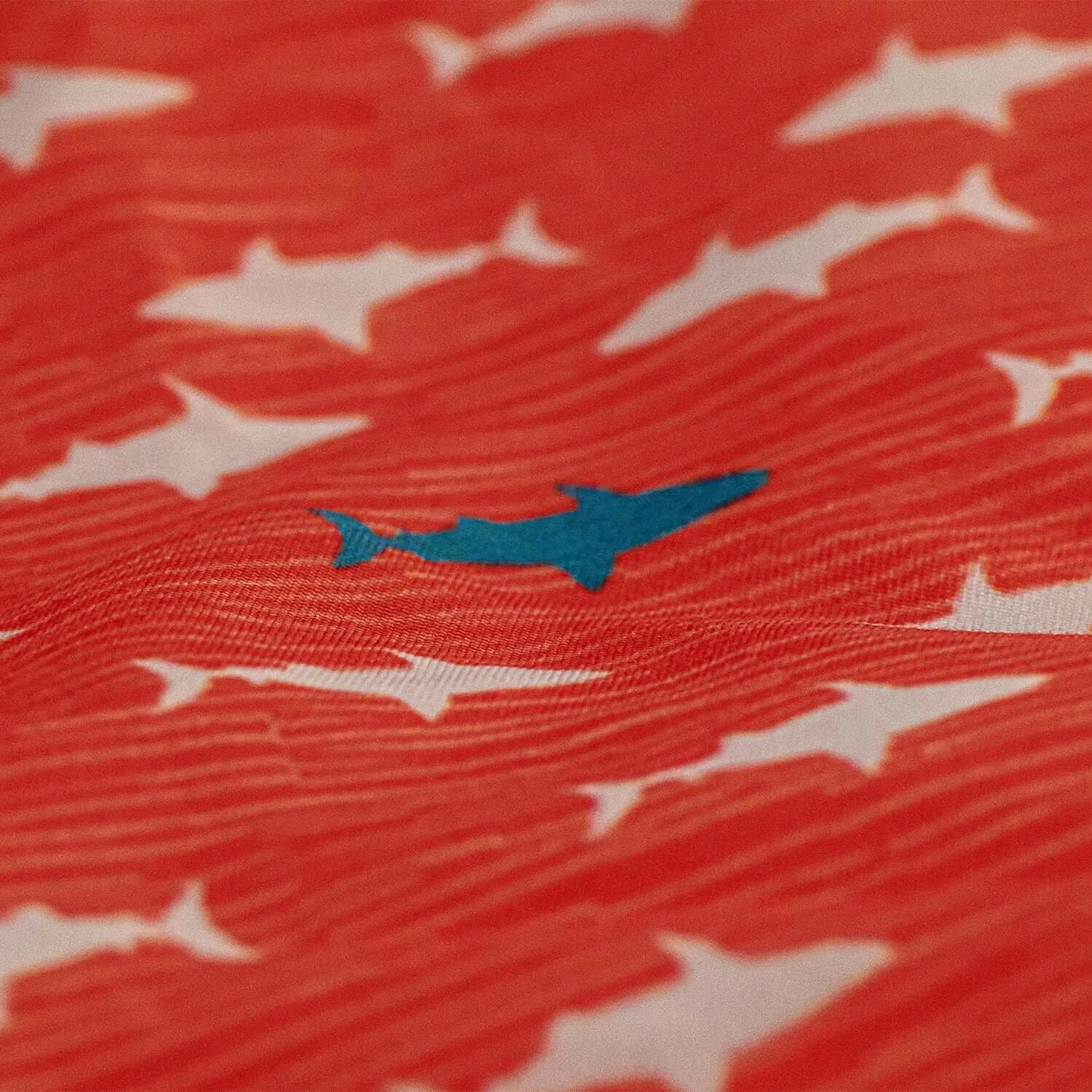 SHARKS CORAL